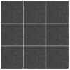 ARIZONA Black Stone Tiles 80x80x2cm