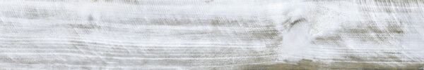 CARBON WHITE - 20x120cm Matt Tiles