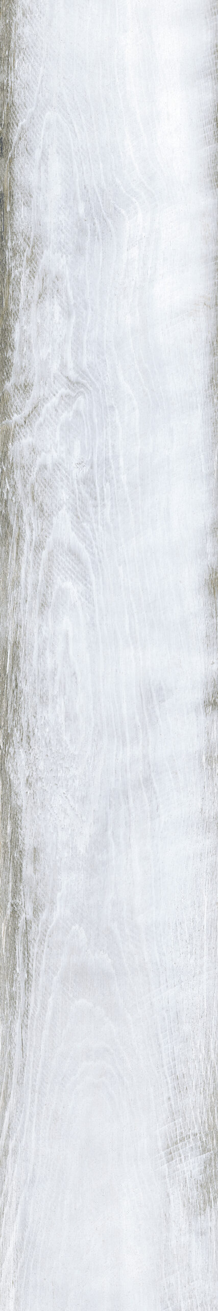 CARBON WHITE - 20x120cm Matt Tiles