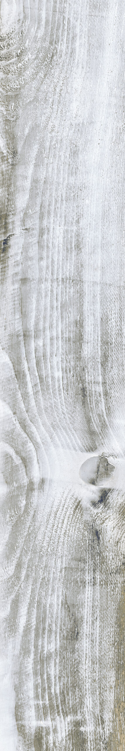 CARBON WHITE - 20x120cm Matt Tiles