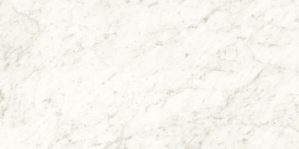 CARRARA PURE BIANCO - 60x120cm Glossy Tiles