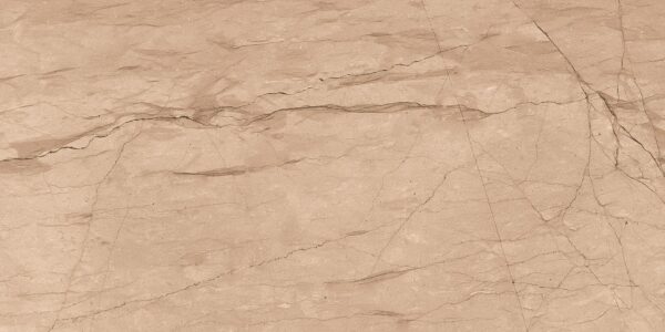 FOSSIL BROWN 60x120 cm porseleinen bruine steenlook tegel met carving structuur – Tegelplus België