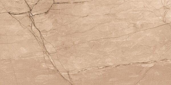 FOSSIL BROWN 60x120 cm porseleinen bruine steenlook tegel met carving structuur – Tegelplus België