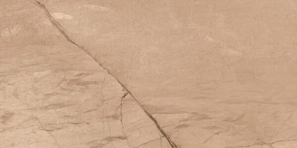 FOSSIL BROWN 60x120 cm porseleinen bruine steenlook tegel met carving structuur – Tegelplus België
