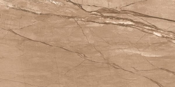 FOSSIL BROWN 60x120 cm porseleinen bruine steenlook tegel met carving structuur – Tegelplus België