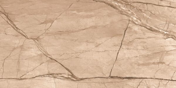 FOSSIL BROWN 60x120 cm porseleinen bruine steenlook tegel met carving structuur – Tegelplus België