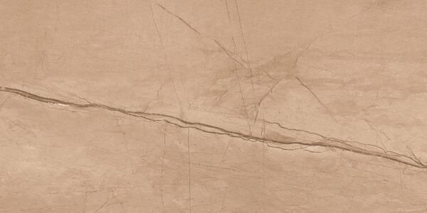 FOSSIL BROWN 60x120 cm porseleinen bruine steenlook tegel met carving structuur – Tegelplus België