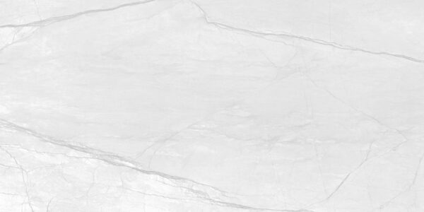 FOSSIL WHITE 60x120 cm witte porseleinen tegel met carving oppervlak – natuursteenlook vloer- en wandtegel bij Tegelplus België