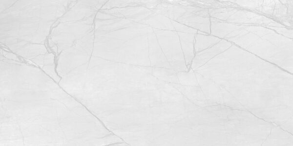 FOSSIL WHITE 60x120 cm witte porseleinen tegel met carving oppervlak – natuursteenlook vloer- en wandtegel bij Tegelplus België