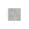 LIZARD GREY - 60x60cm Glossy Tiles