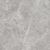 LIZARD GREY - 60x60cm Glossy Tiles