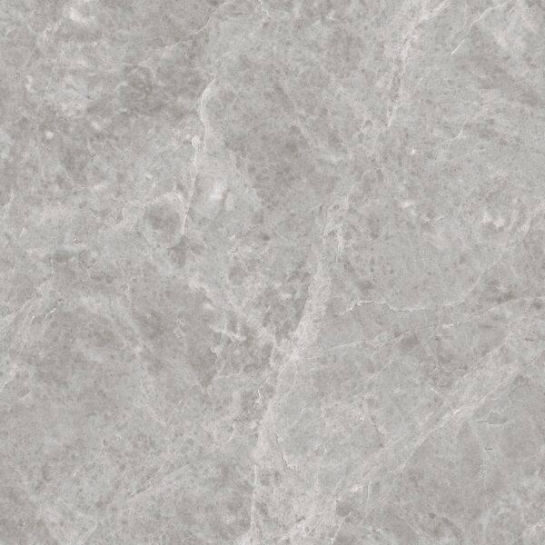 LIZARD GREY - 60x60cm Glossy Tiles