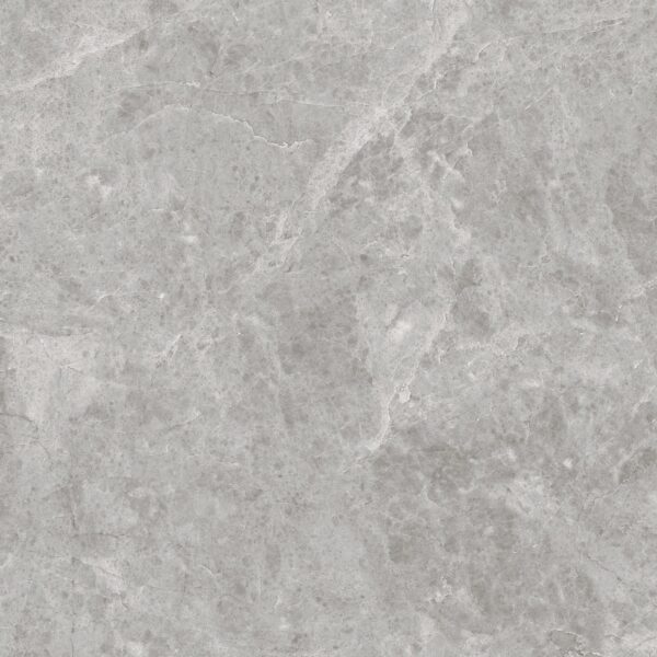 LIZARD GREY - 60x60cm Glossy Tiles