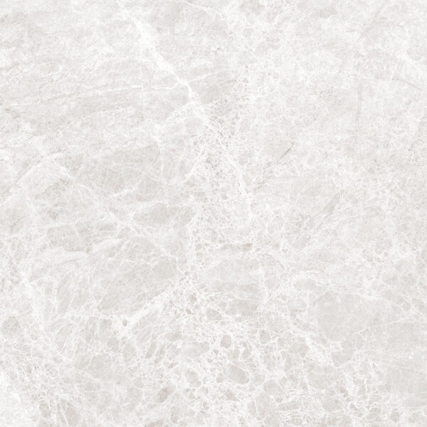 LIZARD SILVER - 80x80cm Glossy Tiles