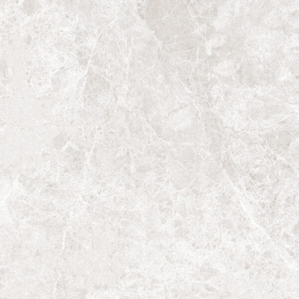 LIZARD SILVER - 80x80cm Glossy Tiles