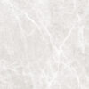 LIZARD SILVER - 80x80cm Glossy Tiles