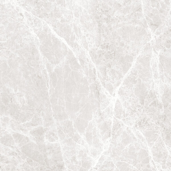 LIZARD SILVER - 80x80cm Glossy Tiles