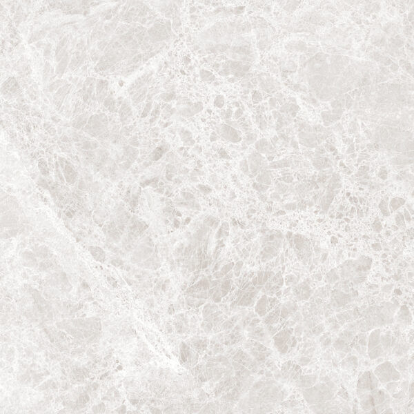 LIZARD SILVER - 80x80cm Glossy Tiles