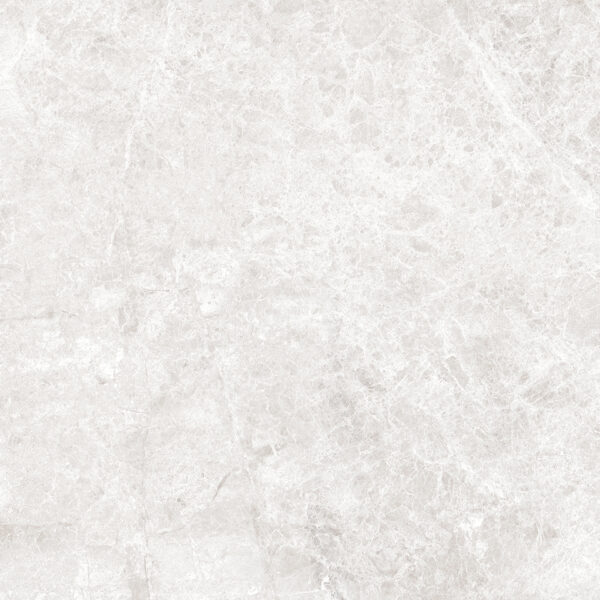 LIZARD SILVER - 80x80cm Glossy Tiles