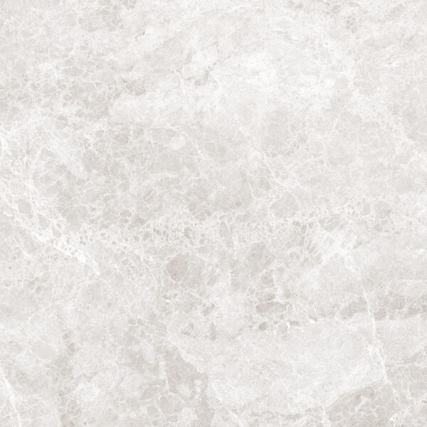 LIZARD SILVER - 80x80cm Glossy Tiles