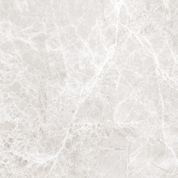 LIZARD SILVER - 80x80cm Glossy Tiles