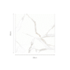MARBLE WHITE - 80x80cm Glossy Tiles