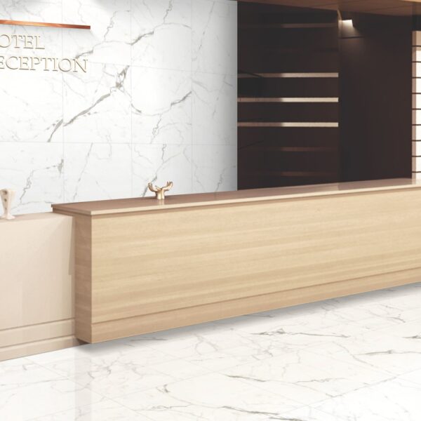 FOSSIL STATUARIO marmerlook tegel 60x60cm mat – porseleinen tegel van Tegelplus voor vloeren in België