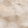 PERSIAN ONYX NATURAL beige marmerlook tegel 60x120cm met glanzende afwerking – porseleinen tegel van Tegelplus voor warme Belgische interieurs