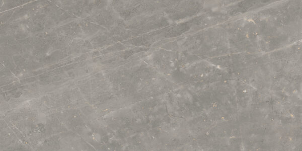 REE GREY - 60x120cm Glossy Tiles
