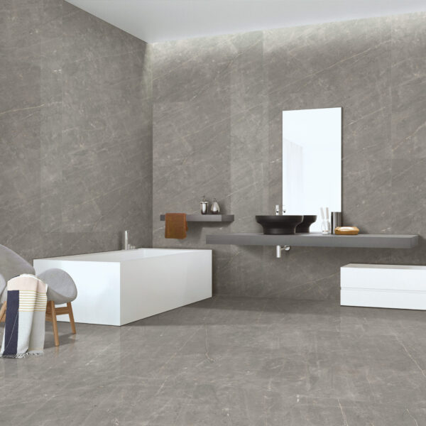 REE GREY 60x120cm glanzende tegel met moderne lichtgrijze tint en verfijnde afwerking tiles