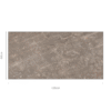 REE NATURAL - 60x120cm Glossy Tiles