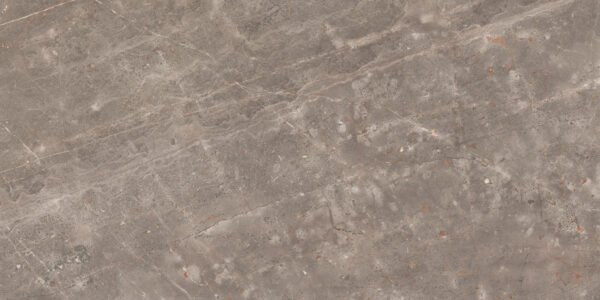 REE NATURAL - 60x120cm Glossy Tiles