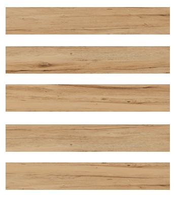 TERRA BEIGE 20x120 MAT Tiles