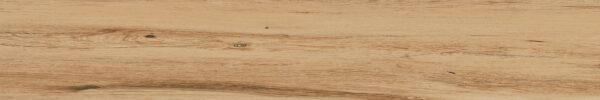 TERRA BEIGE 20x120 MAT Tiles